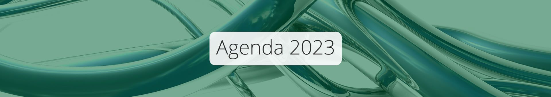 Agenda